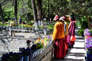 Norbulingka